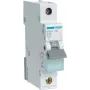 Hager MBN116 interruptor eléctrico 1P (MBN116)