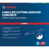 Bosch Expert 2 608 900 410 hoja de sierra de calar/rodillo/sable carburo 1 ud.