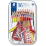 Lápices de colores Staedtler 175 Multicolour 36 uds.