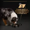 PURINA Pro Plan Everyday nutrition todas las tallas Adult pavo en gelatina - comida húmeda para perros - 400g