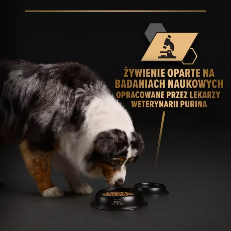 PURINA Pro Plan Everyday nutrition todas las tallas Adult pavo en gelatina - comida húmeda para perros - 400g