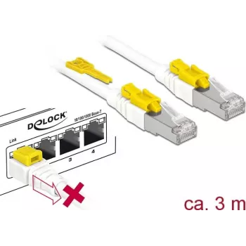 Cable de red DeLOCK 85333 RJ-45 Cat6a 3 m Blanco