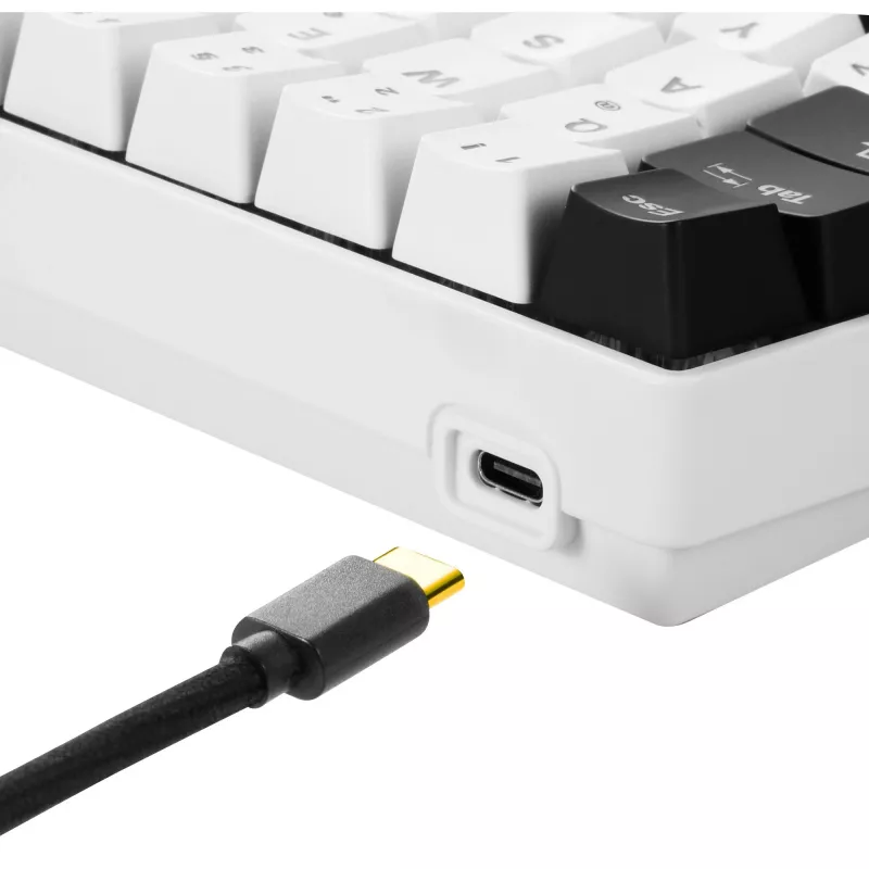 Sharkoon SGK50 S4 teclado gaming USB QWERTZ alemán blanco RGB LED