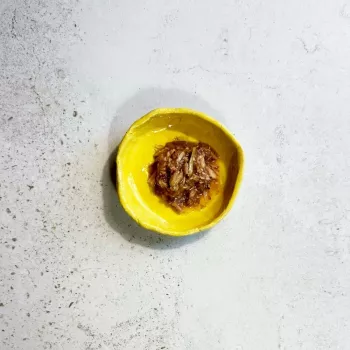 Ollo Atún con anchoa en caldo Nº 9 70 g