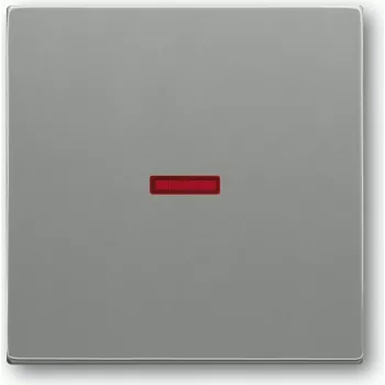 Interruptor de luz Busch Jaeger 1751-0-3013 gris plástico (1751-0-3013)