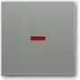 Interruptor de luz Busch Jaeger 1751-0-3013 gris plástico (1751-0-3013)