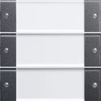 GIRA 213328 Interruptor de luz antracita - transparente (213328)
