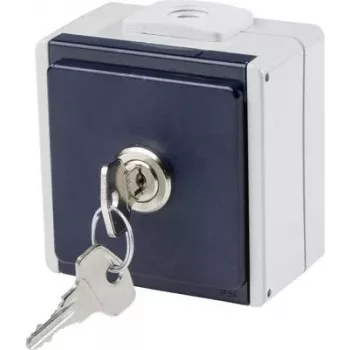 as - Schwabe 62461 Toma de superficie con bloqueo IP54 gris (62461)