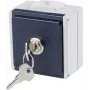 as - Schwabe 62461 Toma de superficie con bloqueo IP54 gris (62461)