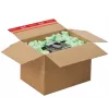 Copos de espuma tidyPac flo-pac Green 0,540 kg (SALF01.01.04)