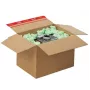Copos de espuma tidyPac flo-pac Green 0,540 kg (SALF01.01.04)