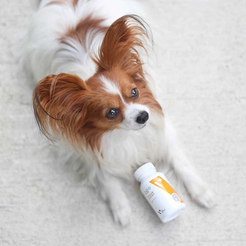 VET EXPERT Sistema inmunitario – complemento de apoyo inmunitario para perros y gatos – 30 cápsulas.