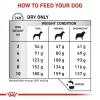 Alimento seco para perros Royal Canin Anallergenic Small 1,5 kg — fórmula hipoalergénica para perros adultos de razas pequeñas