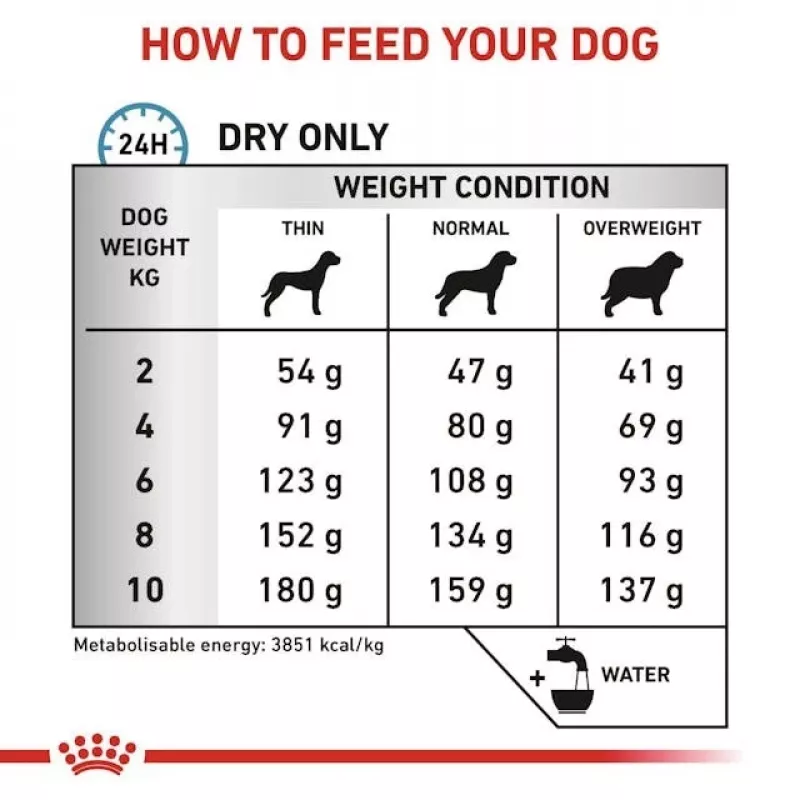 Alimento seco para perros Royal Canin Anallergenic Small 1,5 kg — fórmula hipoalergénica para perros adultos de razas pequeñas