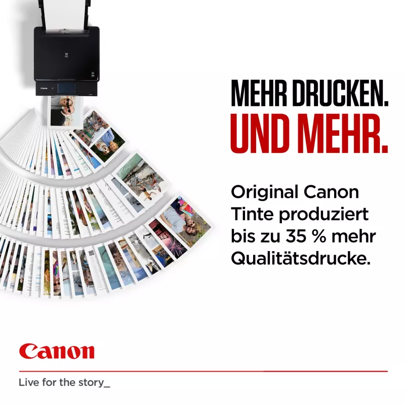 Cartucho de tinta Canon 6204C001 1 ud. Original rendimiento High (XL) Negro