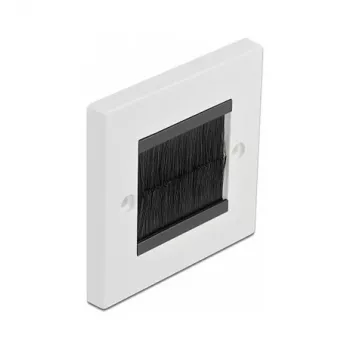 Placa de pared DeLOCK 66491 blanco