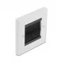 Placa de pared DeLOCK 66491 blanco