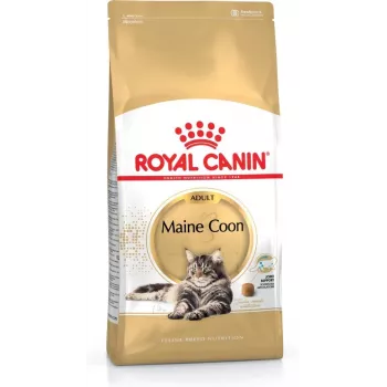 Comida seca para gatos Royal Canin Maine Coon Adult 4 kg — pollo, 31 % proteína, 20 % grasa