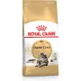 Royal Canin FBN Maine Coon Adult comida seca para gatos, 4 kg
