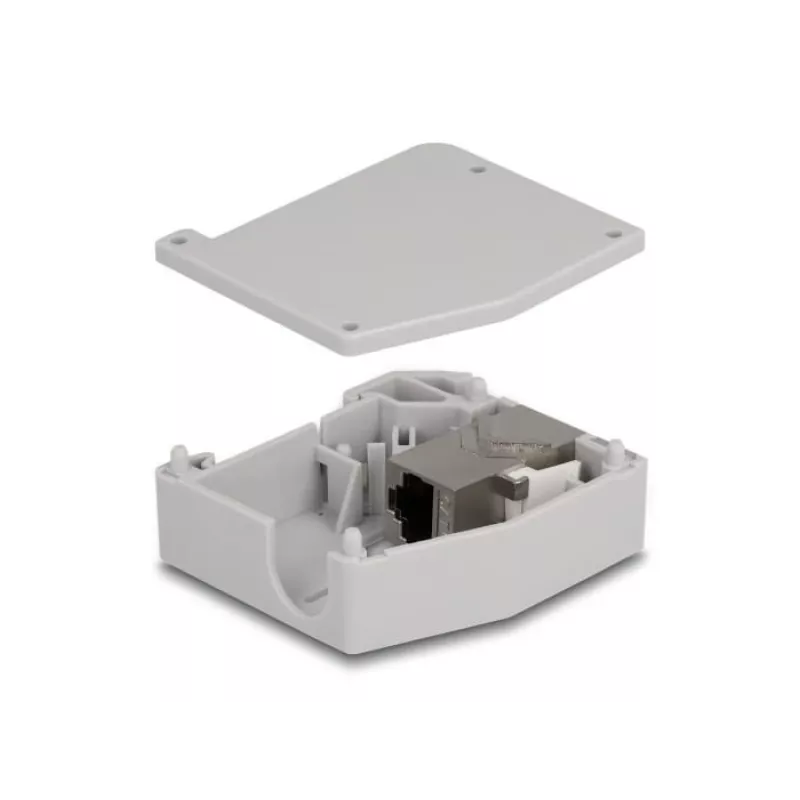 Adaptador para carril DIN DeLOCK conector hembra RJ45 a conector hembra RJ45 Cat.6A gris