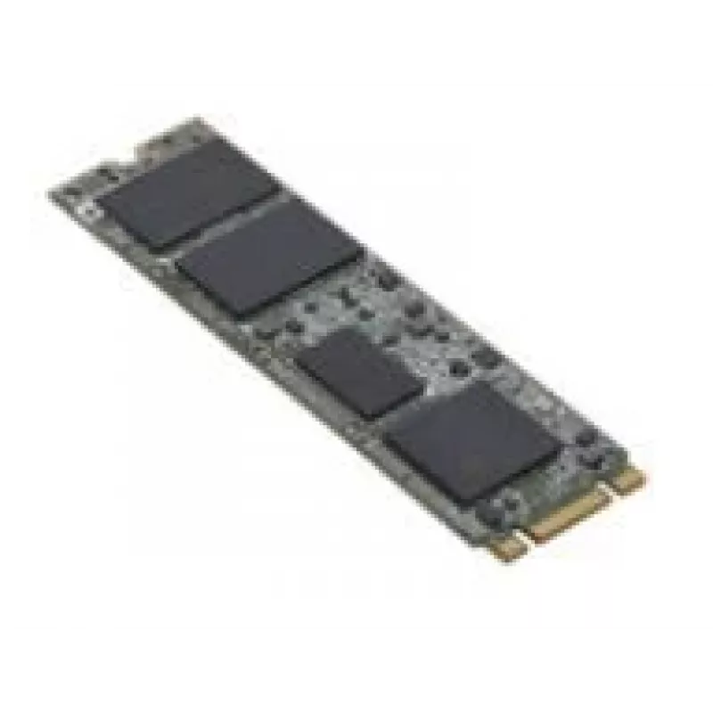 Fujitsu S26361-F5816-L240 unidad de estado sólido interna 240 GB M.2 Serial ATA III