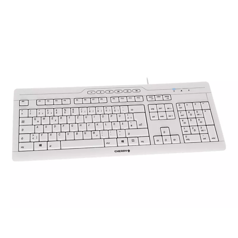 CHERRY STREAM 3.0 Teclado Office USB Swiss Grey