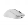 Ratón White Shark GM-9010 MAXIMUS Blanco USB