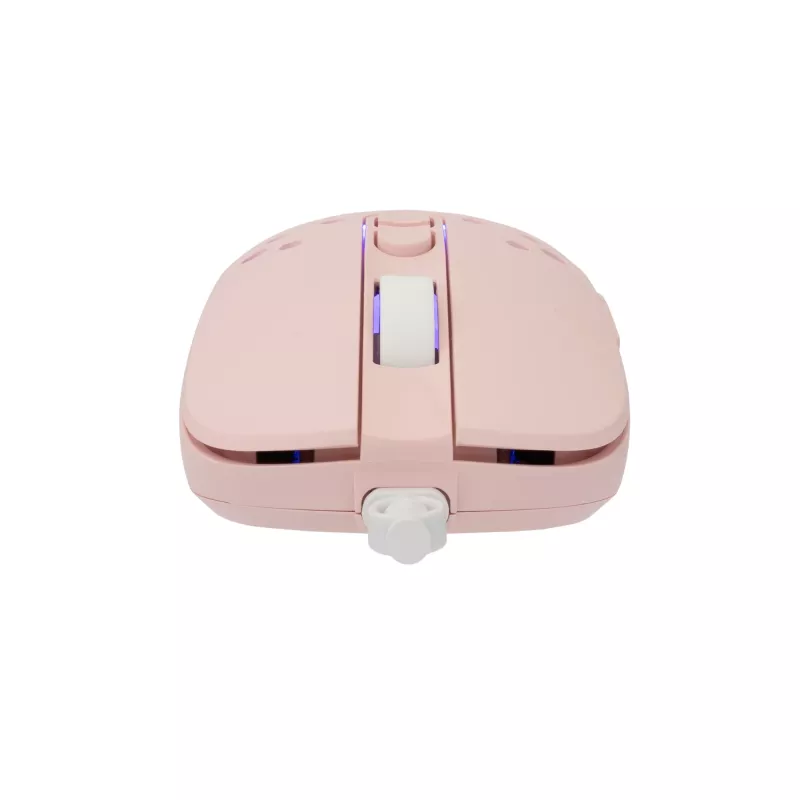 Ratón White Shark GM-9004 Tristan-2 rosa RGB USB