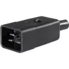 as - Schwabe conector macho IEC, recto polos totales: 3 10 A negro 62084 1 ud. (62084)