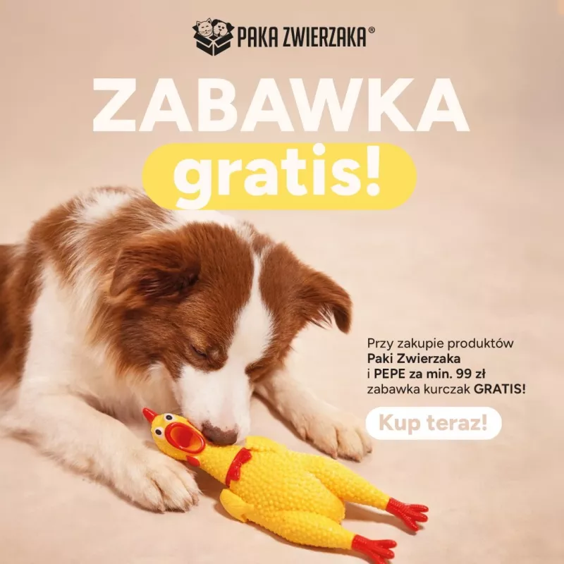 Paka Zwierzaka juguete para perros de pollo