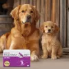 Cápsulas blandas JM Sante Multiway Vet Duocaps Osteo — apoyo articular para perros y gatos adultos, envase de 150 g