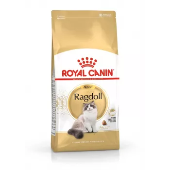 Pienso para gatos Royal Canin Ragdoll Adult 2 kg — Pollo, 32 % proteínas, 18 % grasas