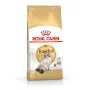 Royal Canin FBN Ragdoll Adult pienso seco para gatos, 2 kg