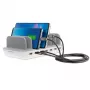 Cargador móvil 4smarts 462310 USB Type-C gris smartphone tablet