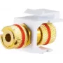 Conector plano ShiverPeaks Basic-S