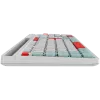CANYON HSET-W5 EN teclado+ratón AAA+AA inalámbrico blanco