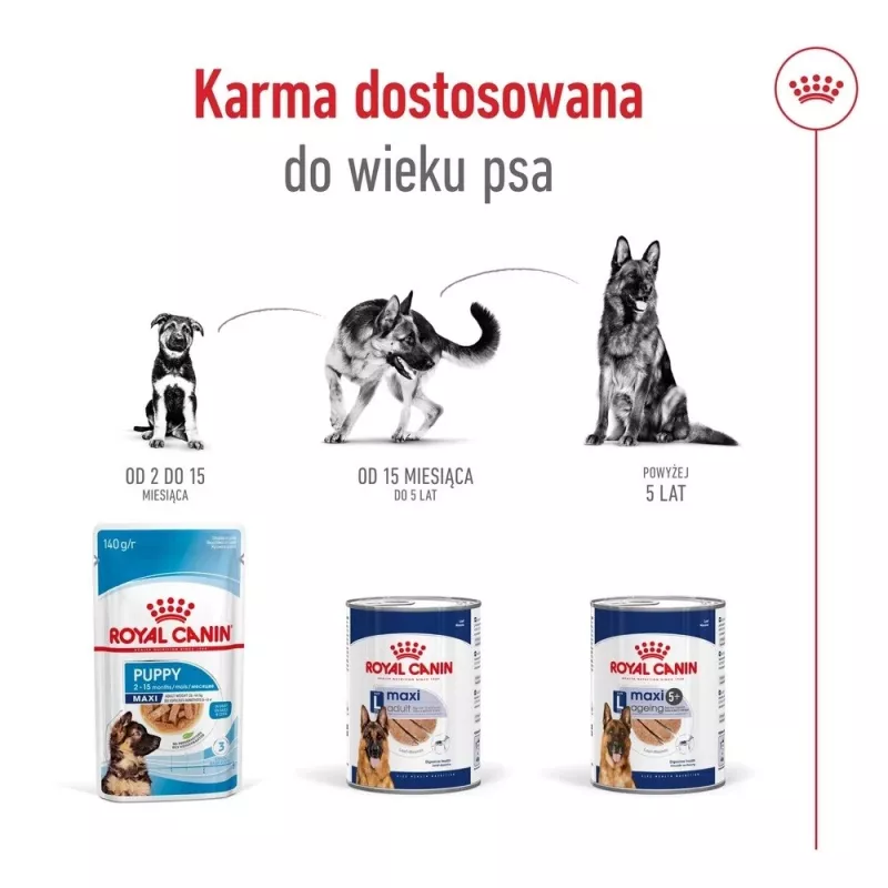 ROYAL CANIN SHN Maxi Ageing lata 410 g