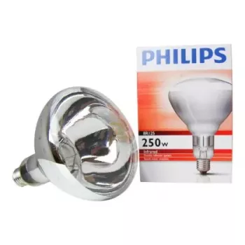 Bombilla Philips 60800122044 250 W