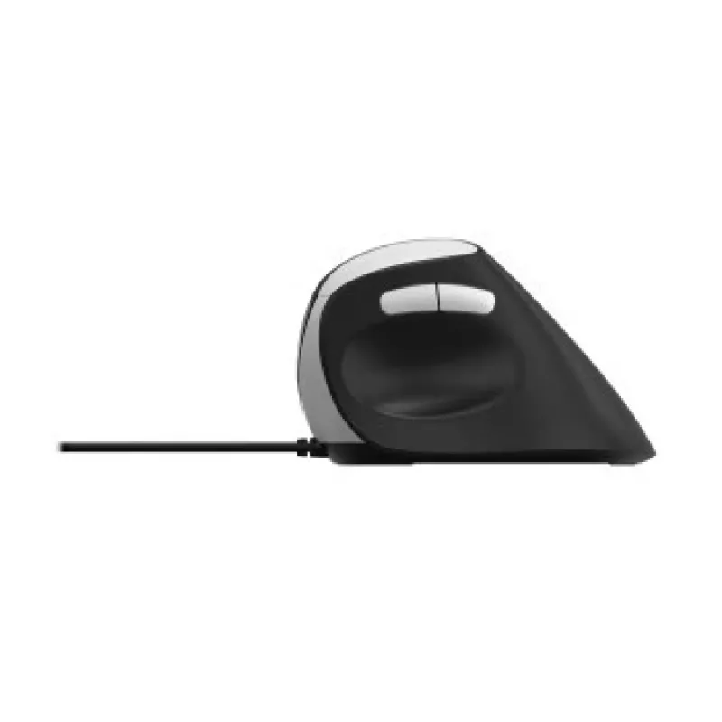 Ratón Rapoo EV200 Office USB Type-A