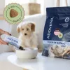ADDVENA Power of Nature Junior Small Lamb - pienso seco para perros - 10 kg