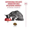 ROYAL CANIN Savour Exigent – Pienso seco para gatos – 4 kg