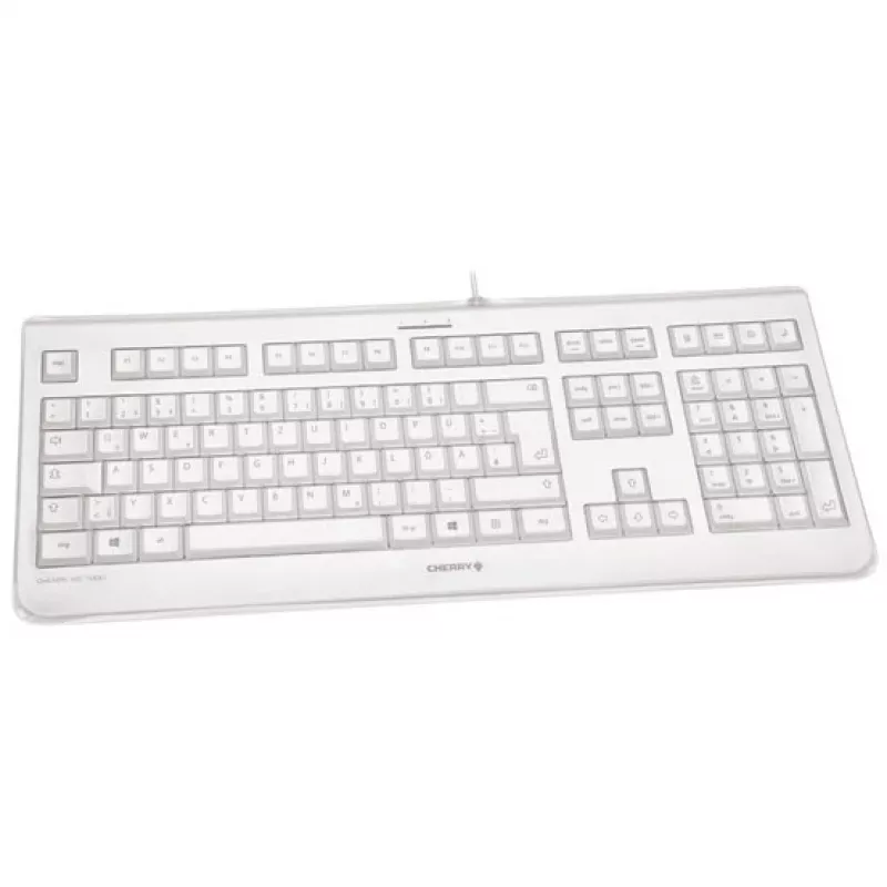 CHERRY KC 1068 Teclado USB Distribución suiza Gris