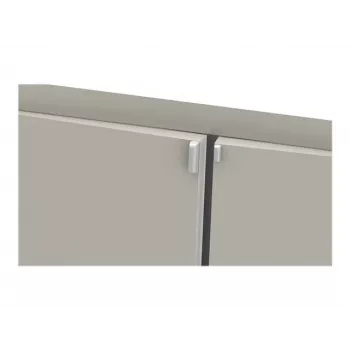 ELSYS EMS LoRa Sensor de temperatura, humedad, fugas y aceleración (sin imán)