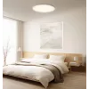 Lámpara de techo inteligente Xiaomi D30 WiFi 30W