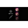 Luz LED de neón para espejo MANTA MASNL130PK Style Neon Lights BEAUTY, acento rosa, iluminación decorativa para espejo