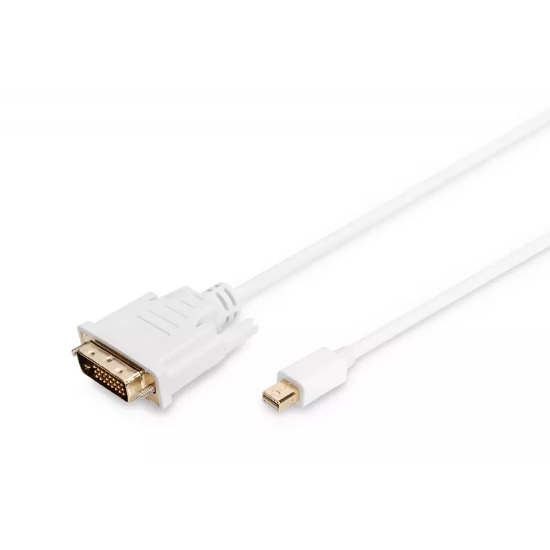 Cable DisplayPort 1.1a Mini DP-DVI tipo A macho-macho 2,0 m