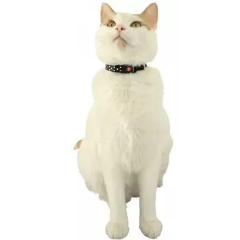 ZOLUX Chatouille negro - collar para gatos