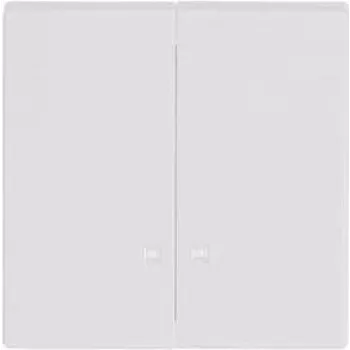 BUSCH JAEGER tecla blanco estudio future linear para interruptor/pulsador 1785 K-84