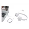 Lenovo GXD1E71385 Auriculares/Auriculares con micrófono Con cable Muñeca Llamadas/Música USB Type-A Gris