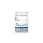 Polvo dental VETEXPERT Plaque Off 40 g — soporte para la salud bucal de perros y gatos, polvo, sin conservantes